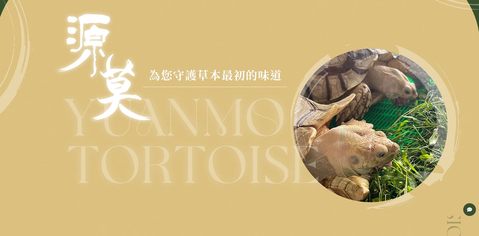 源莫陸龜草本飼料上線