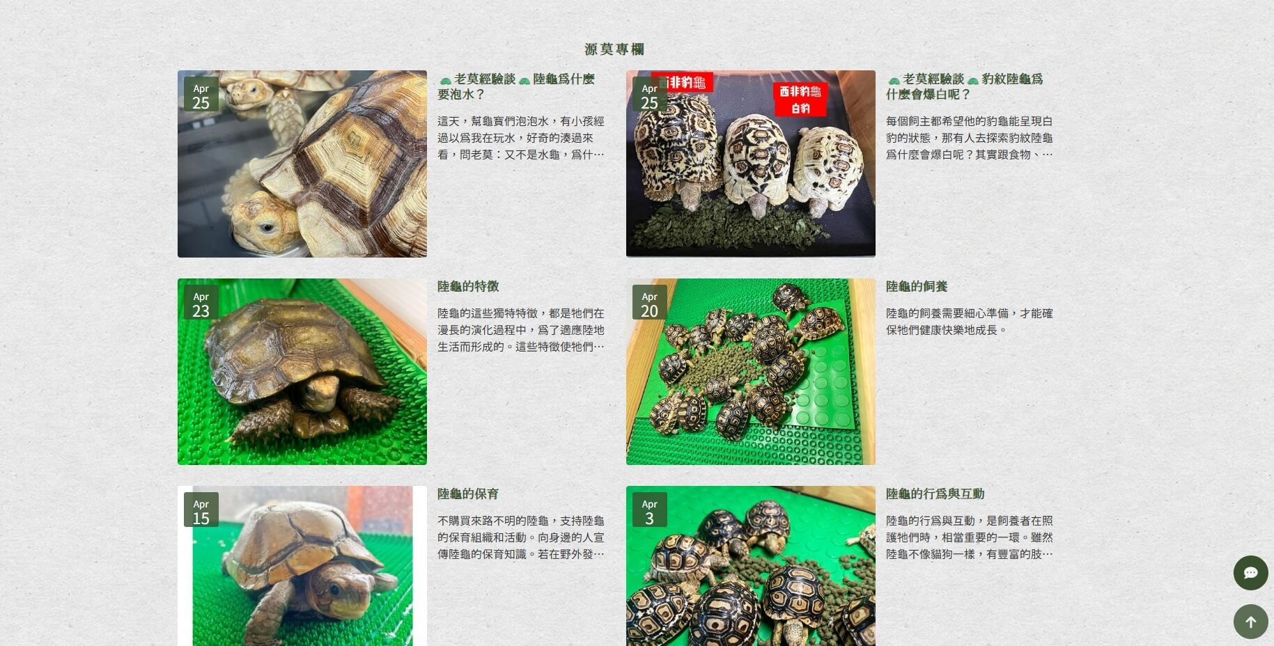 源莫陸龜草本飼料上線